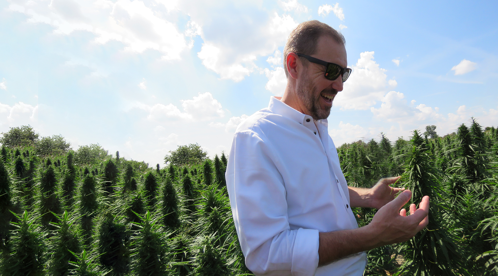 Bob Hoban in a hemp field